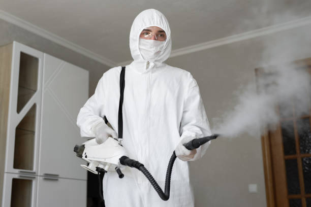 Reliable Villa Rica, GA Mold Removal Services Solutions